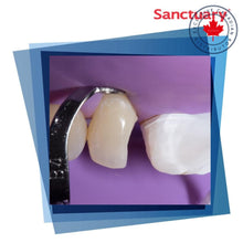 Sanctuary™ Powder-Free Non-Latex Dental Dam | Curion Dental