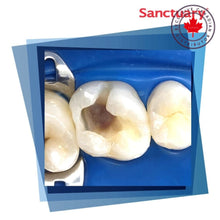 Sanctuary™ Powder-Free Non-Latex Dental Dam | Curion Dental