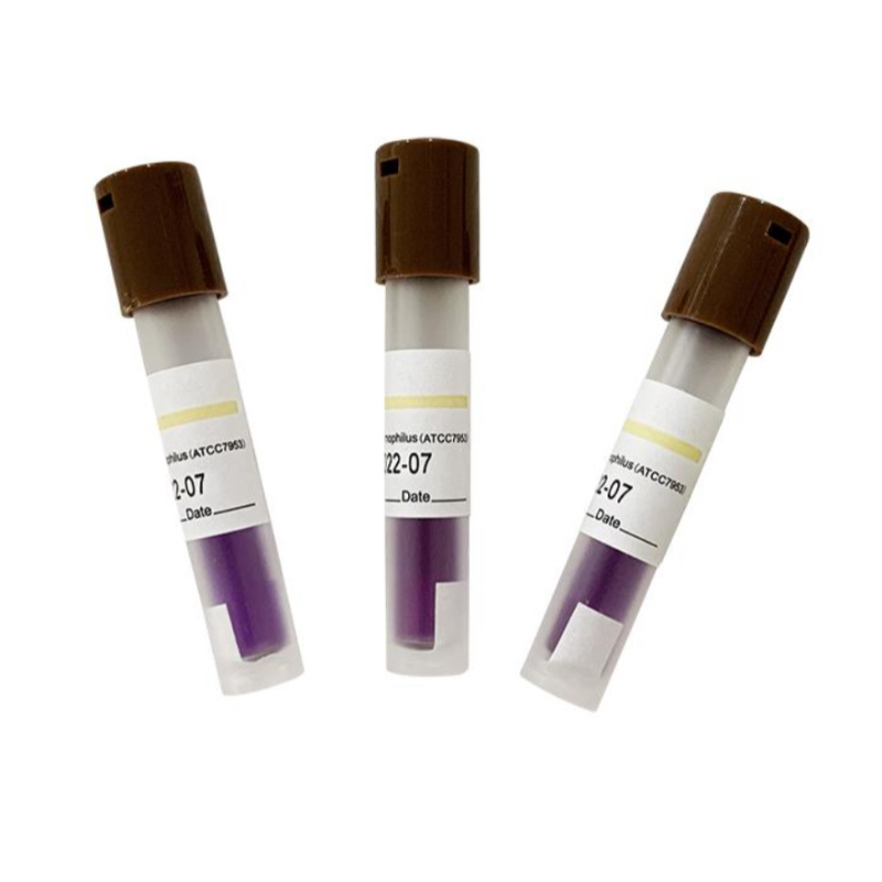 D2D Indicateur biologique 24 heures pour la stérilisation à la vapeur